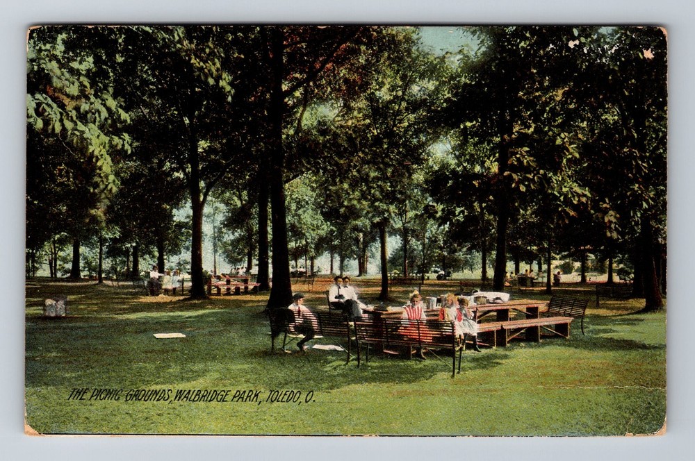 Toledo OH-Ohio The Picnic Grounds Walbridge Park Vintage c1909 Postcard