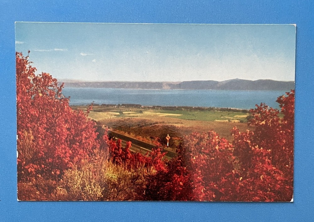 Utah Garden City Bear Lake Vintage Postcard UNUSED Idaho