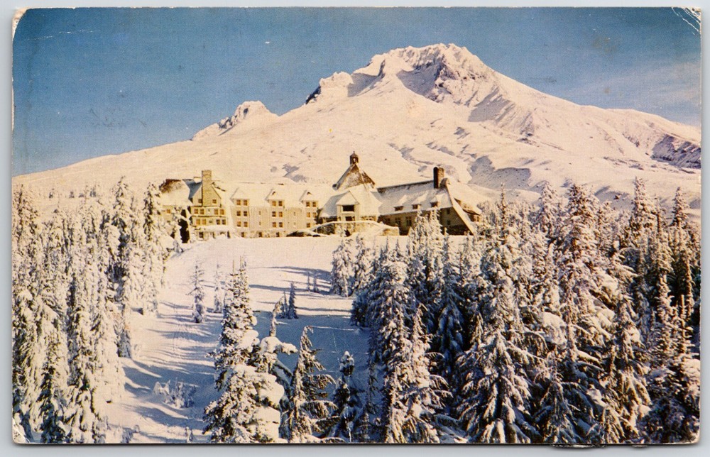 Timberline Lodge Mount Hood Oregon - Vintage Postcard
