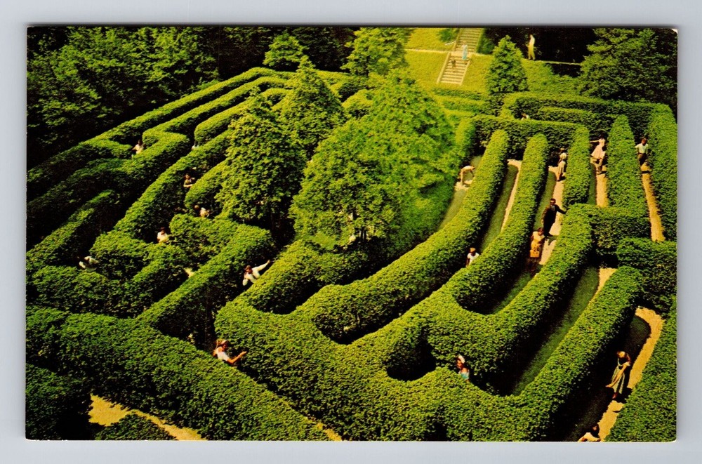 Williamsburg VA-Virginia, Governor's Palace Maze, Antique, Vintage Postcard