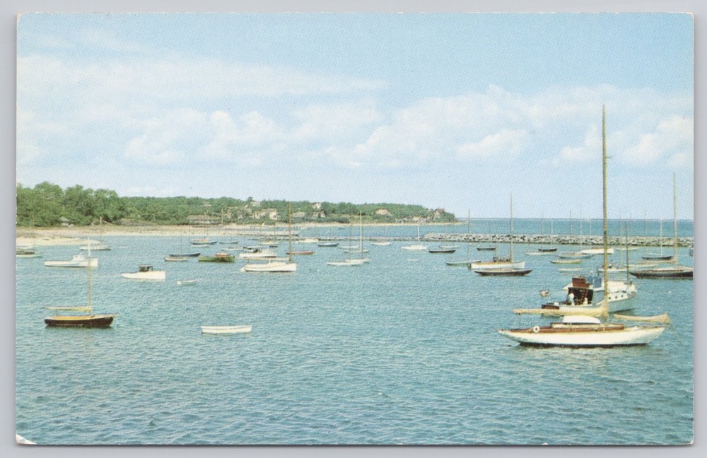 Martha's Vineyard, MA Vineyard Haven Harbor Boats Curteichcolor Postcard
