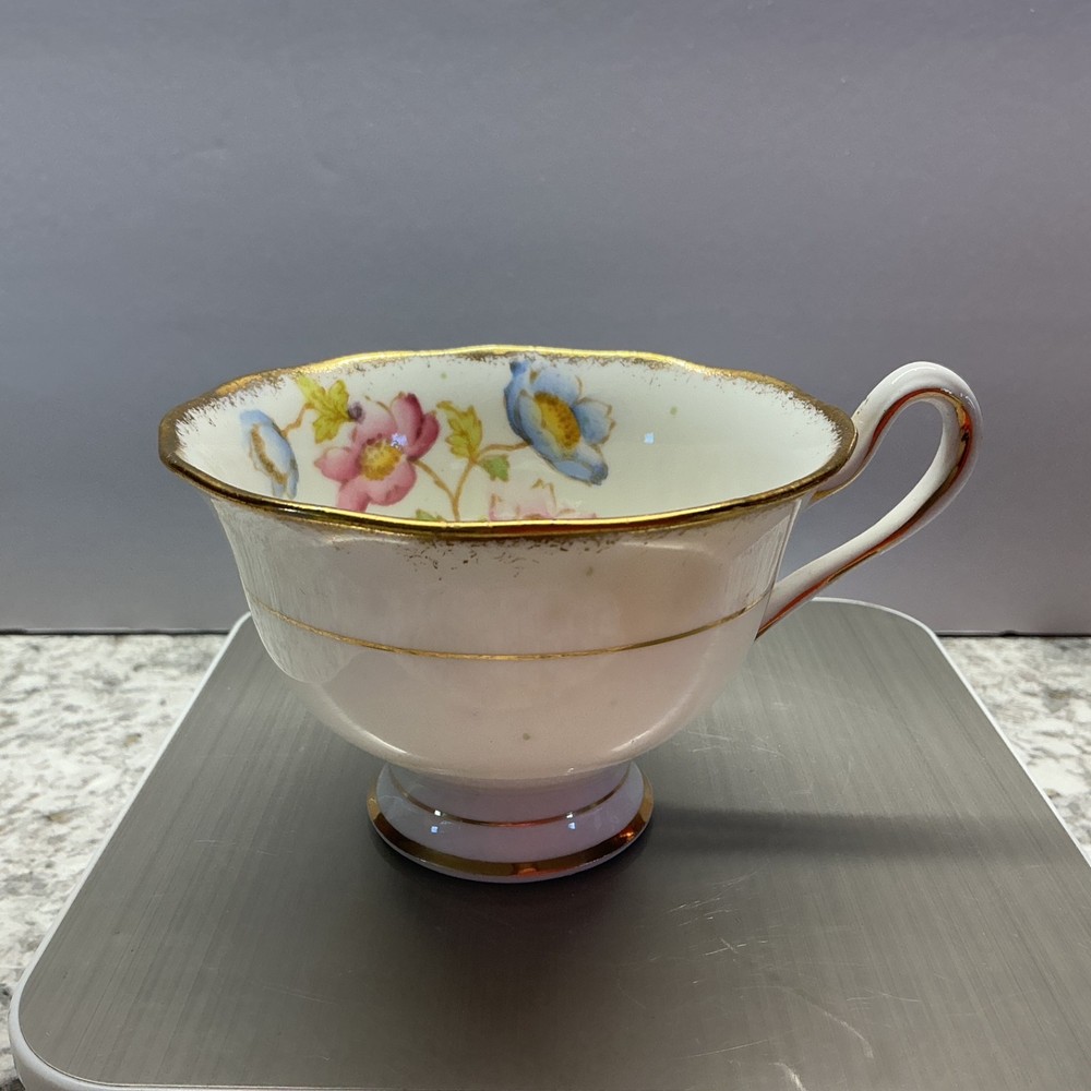 ROYAL ALBERT Crown China ANEMONE #8813 England *Replacement Teacup Only