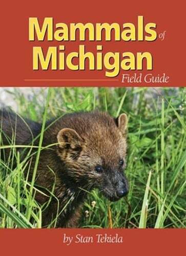 Mammals of Michigan Field Guide by Stan Tekiela: Used