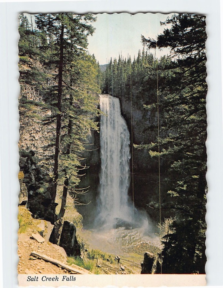 Postcard Salt Creek Falls Willamette Highway Oregon USA