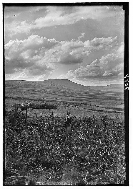 Photo:Northern views. Mount of Beatitudes,Israel,Middle East,1900-1920