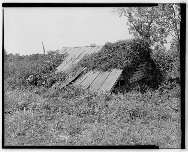 North west elevations. View looking south - Fort Hill Farm, Cool Storage Shed,