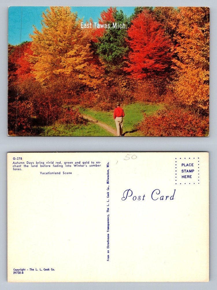 East Tawas, MI-Michigan, Autumn Trees Hiking Trail Souvenir Vintage Postcard