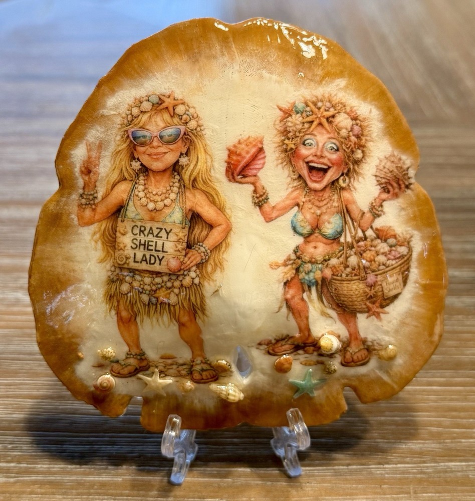 Awesome Decoupage Sand Dollar. A Must Have For Every Shell Collector! ￼🐚