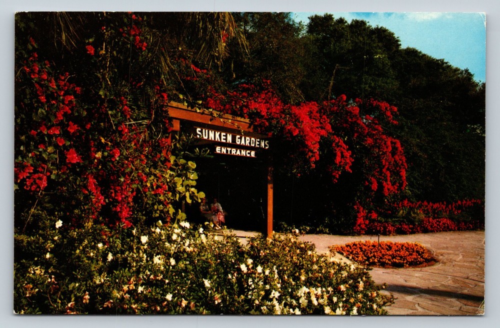 Sunken Gardens Entrance ST. PETERSBURG Florida FL Floral VINTAGE Postcard