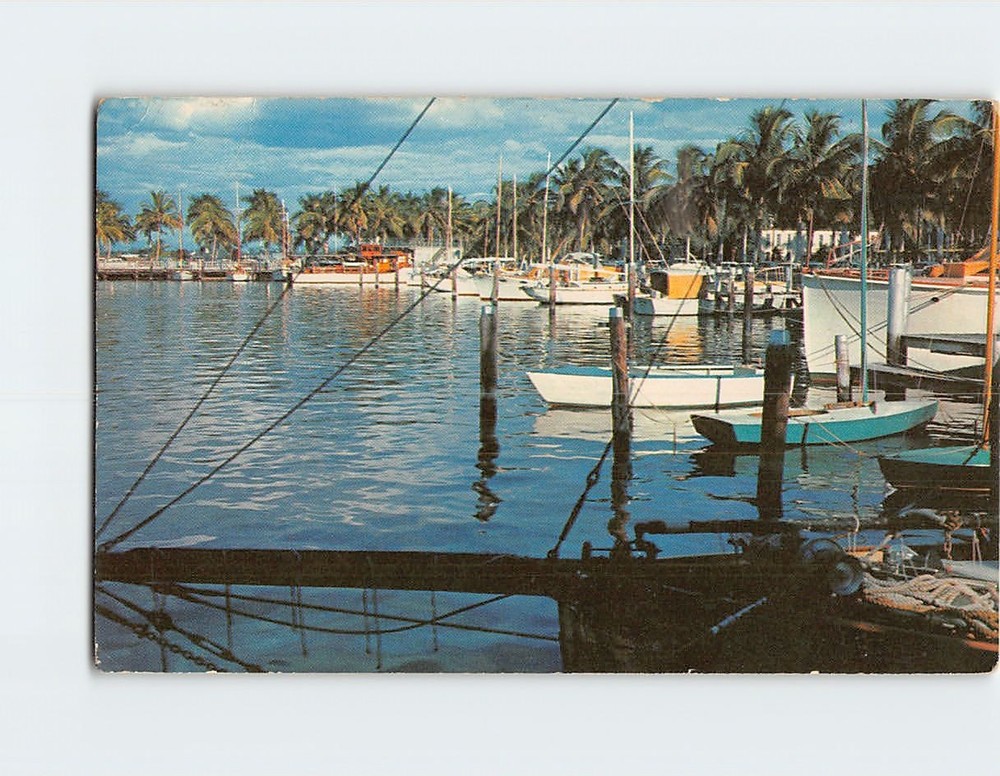 Postcard Yacht Basin Fort Myers Florida USA