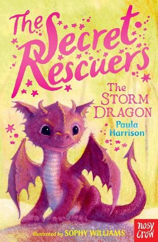 The Secret Rescuers: The Storm Dragon by Harrison, Paula Book The Fast FreeFREE US DELIVERY | ISBN: 0857634771 | Quality Books