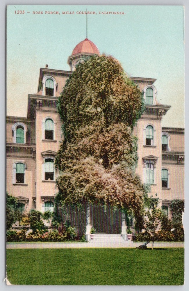 Mills College Rose Porch California Postcard Edward H Mitchell Early 1900s