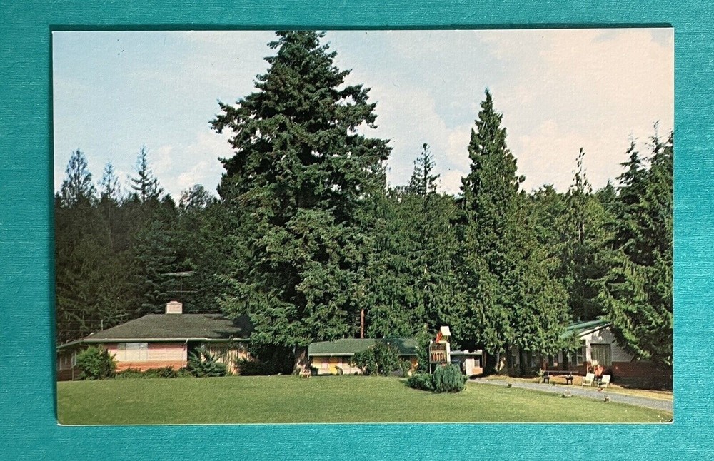 Poulsbo Washington WA Evergreen Motel and Trailer Park Postcard
