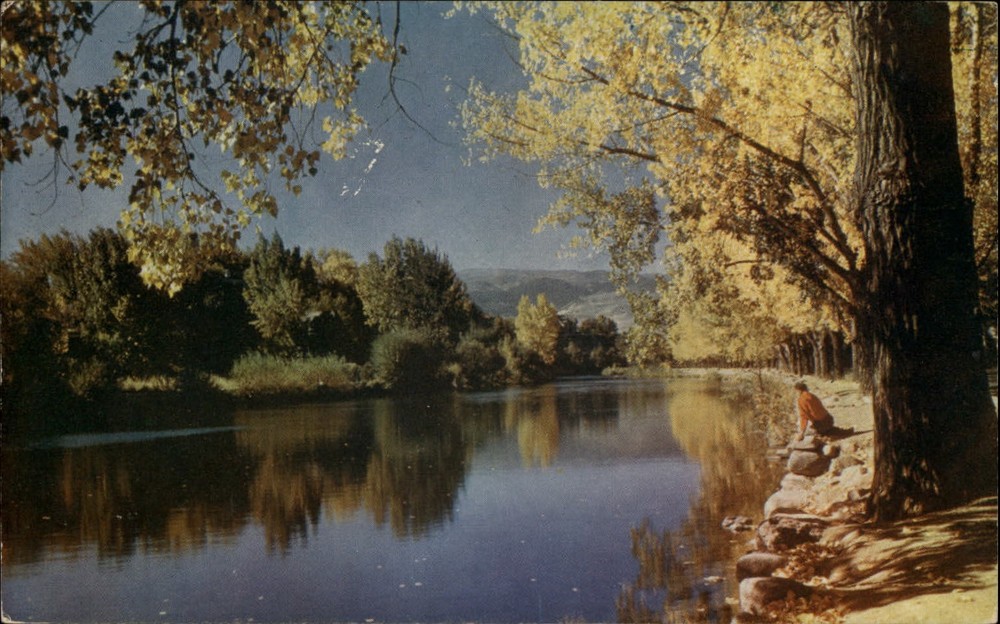 Truckee River Reno Nevada autumn ~ 1950-60s vintage postcard