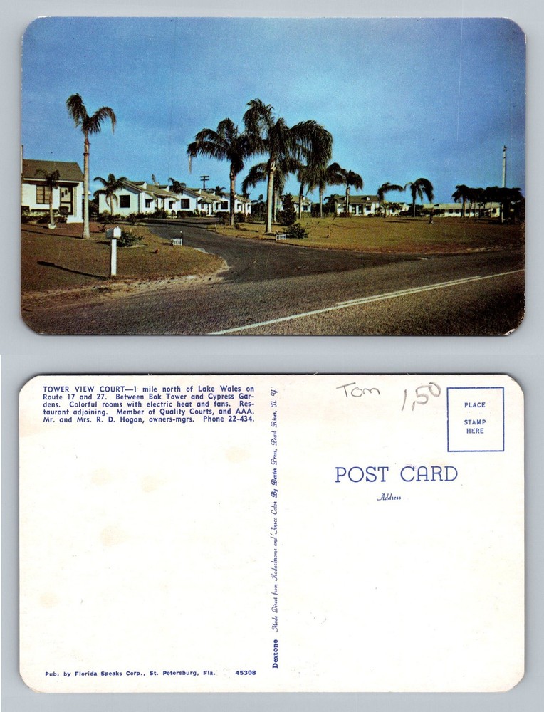 Lake Wales, FL-Florida, Tower View Court Palm Scene Souvenir Vintage Postcard