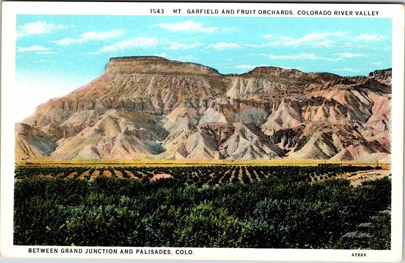 Postcard MOUNTAIN SCENE Between Grand Junction & Palisades Colorado CO AO4624