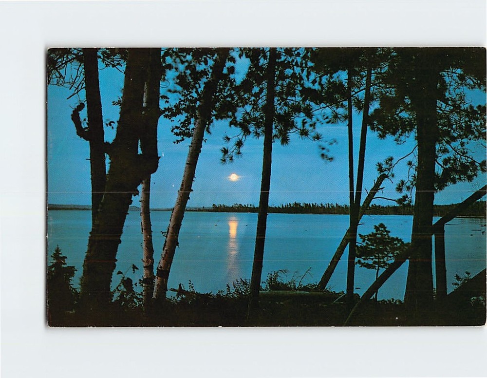 Postcard Moon Lake Trees Landscape Scenery