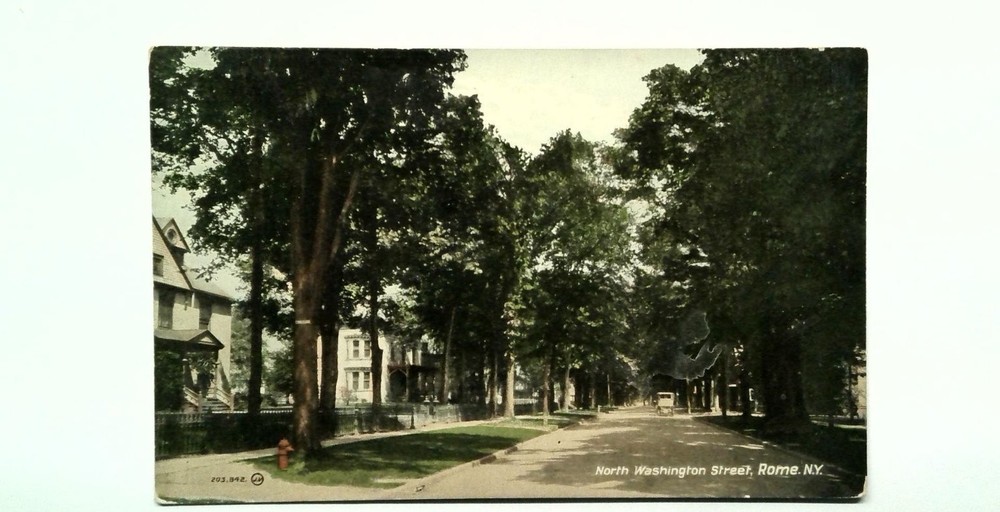 North Washington Street Rome NY Vintage Lithograph Divided Back Postcard