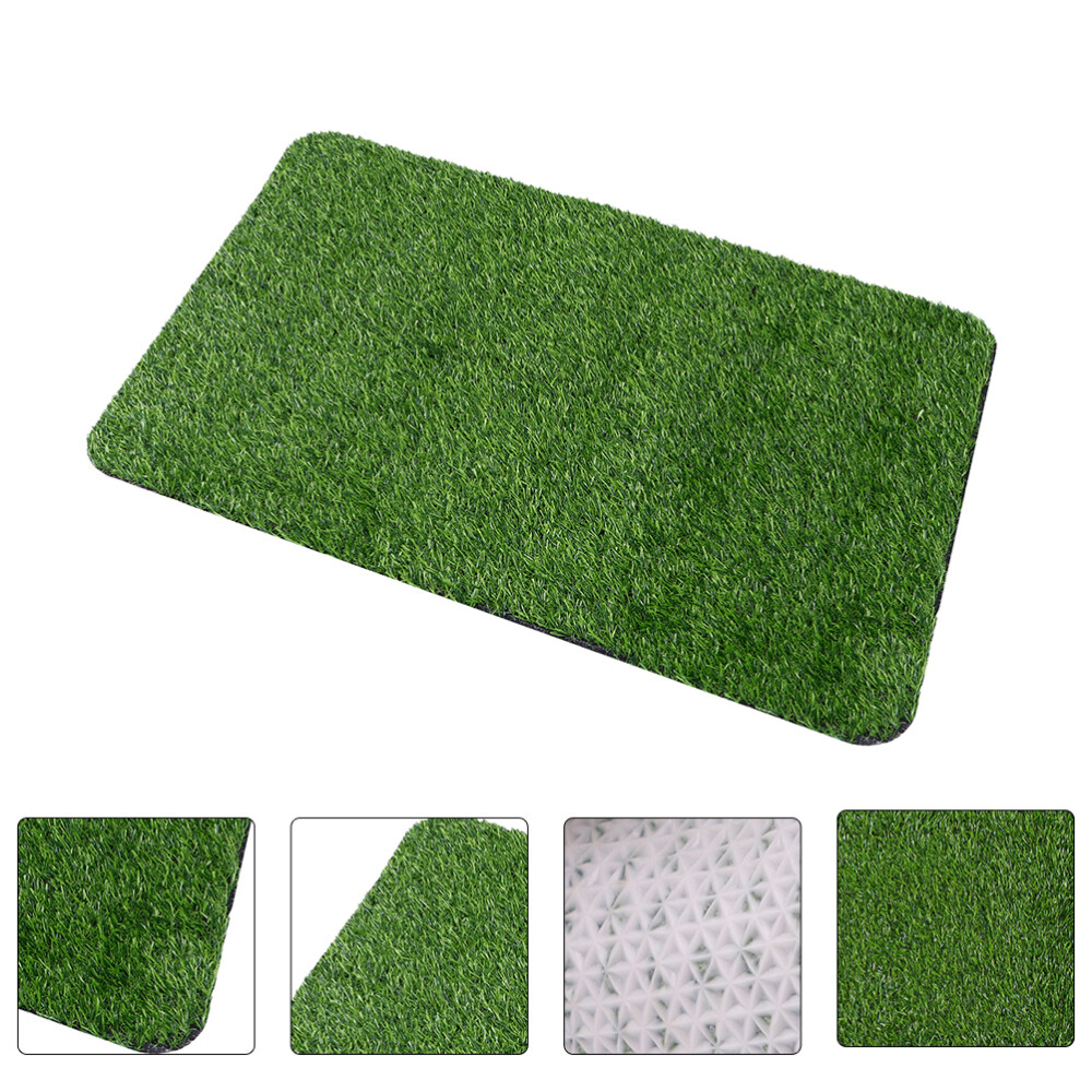 Area Rugs Door Mat Natural Decorative Floor Pad Artificial Lawn