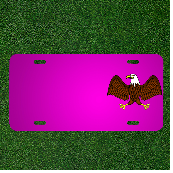 Create Your Custom Car License Plate with Personalized Bald Eagle Design & Names
