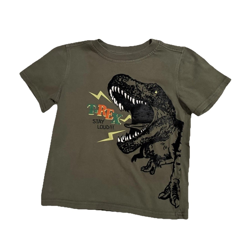 Boys T-Rex Shirt Size 6 Green Dinosaur Graphic Tee Short Sleeve Causal EUC
