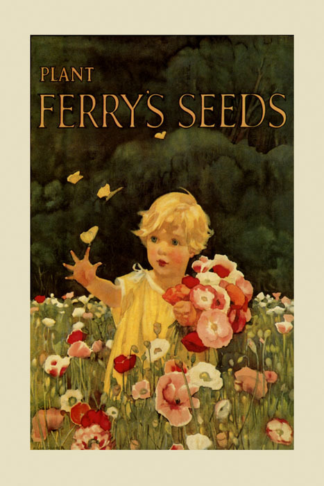 Girl Ferry Seed Packet Crate Label Flowers Poppies Vintage Poster Repro FREE SH