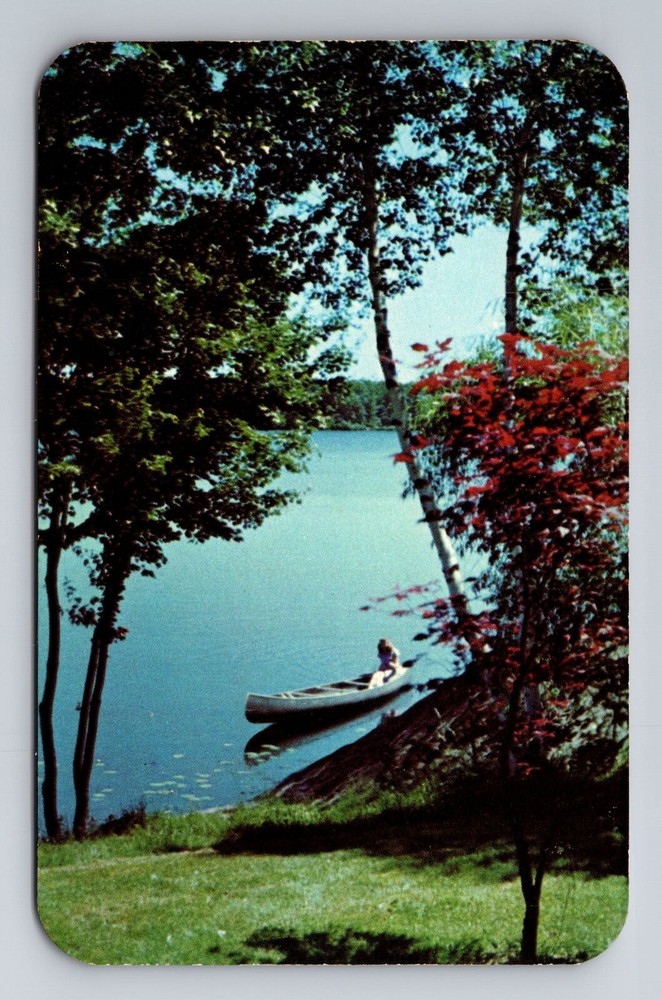 Kalkaska MI-Michigan, Scenic View Of Lake, Antique, Vintage Souvenir Postcard