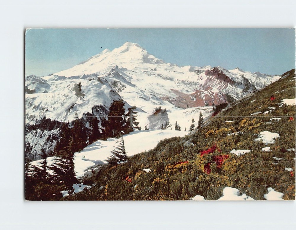 Postcard Mt. Baker Washington USA