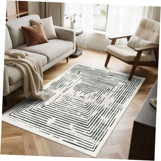3x5 Washable Area Rug - Modern Entry Rug Non-Slip Ultra-Thin Soft Black White