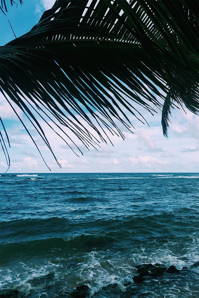 Blue Ocean Palm Seascape Abstract Painting Wall Art Home Decor - POSTER 20x30-image