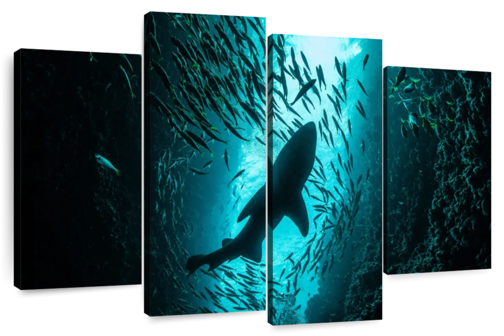 Shark Depth Wall Art