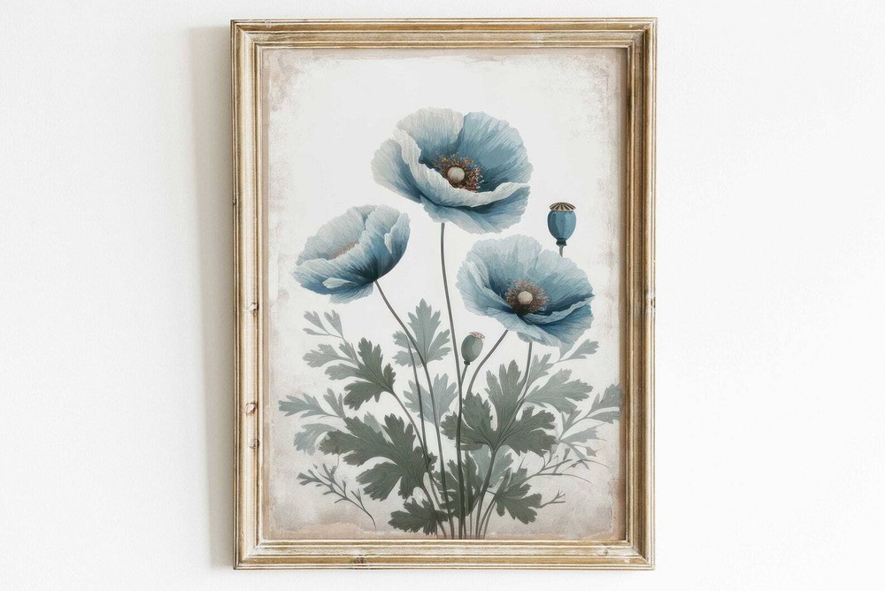 Blue Himalayan Poppy Flowers Poppy Flower Paintings Of Two Blue Flower Wall