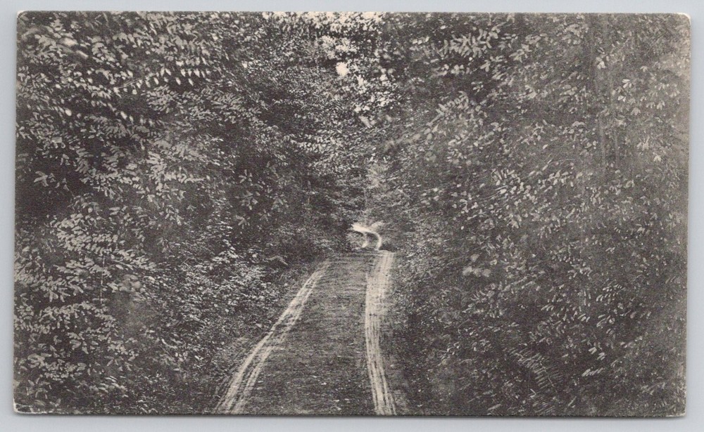 1907 Lovers Lane Lake Huntington NY Real Photo Postcard W. Becker RPPC