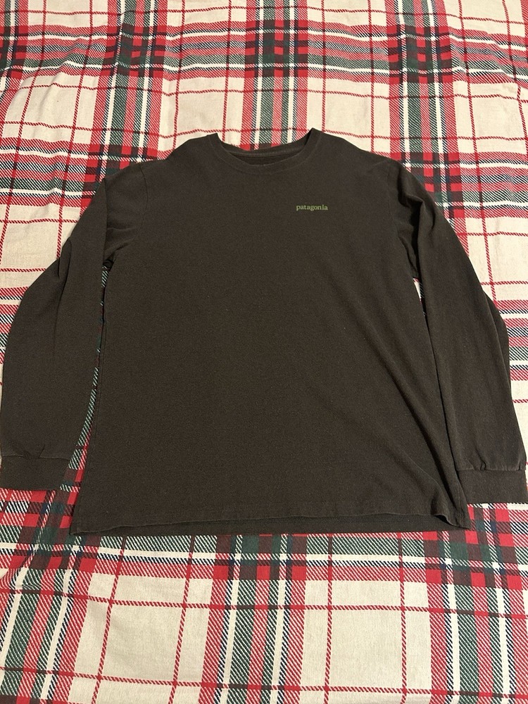 Patagonia Shirt Mens Large Blue Regular Fit long Sleeve Logo Graphic