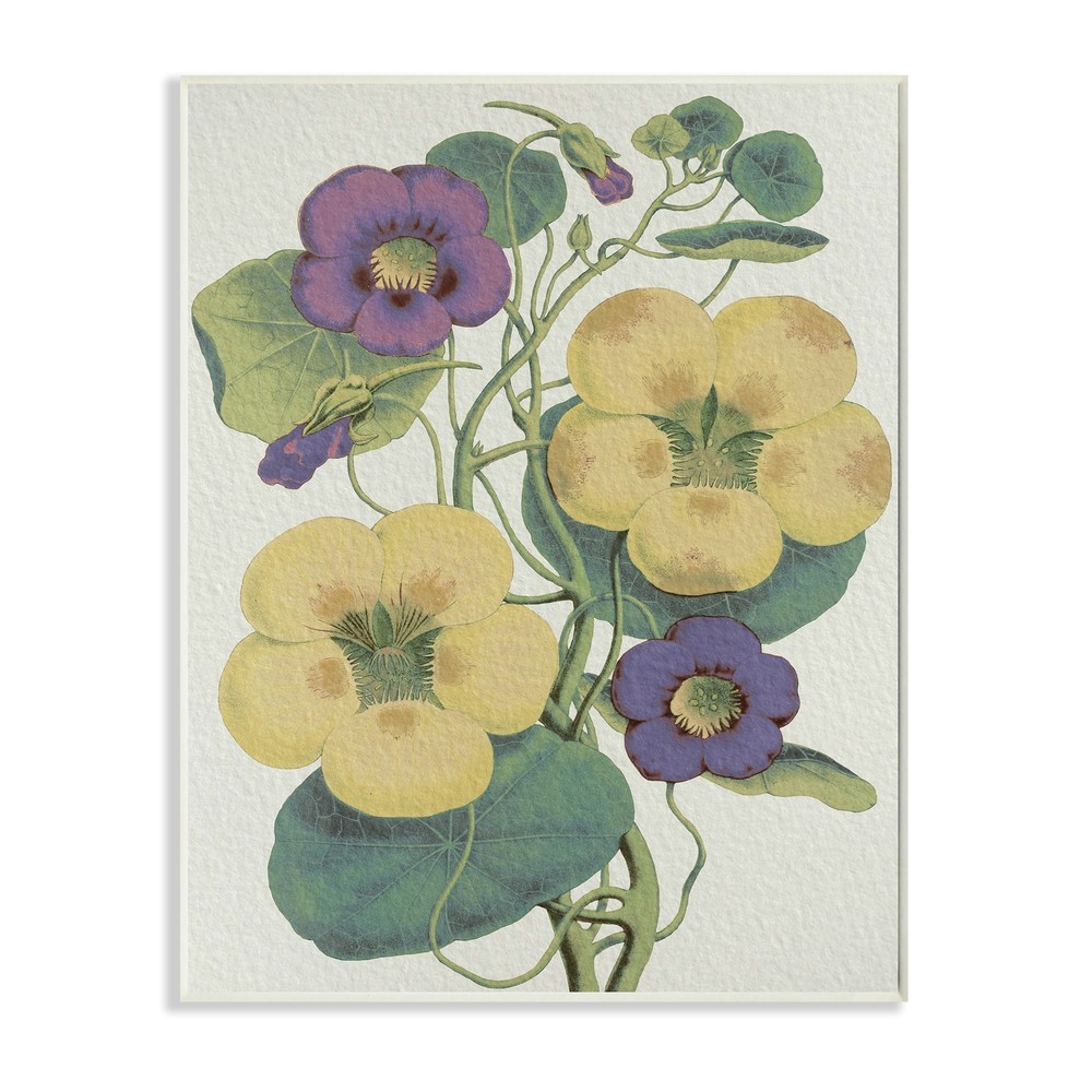 Stupell Vintage Pansies Purple Yellow Petals Garden Study