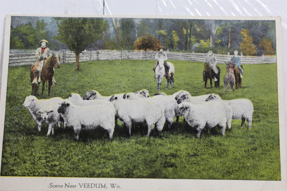 Wisconsin WI Veedum Scene Postcard Old Vintage Card View Standard Souvenir Post