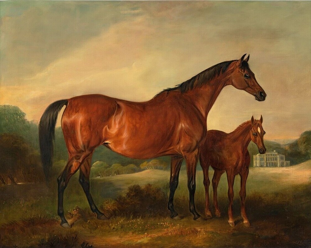 Vintage Horse and Foal Print 11x14 Acid-Free Museum 100% Cotton Paper A51-image