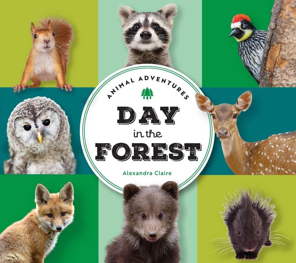 Animal Adventures: Day in the Forest by Alexandra Claire Board Book Book