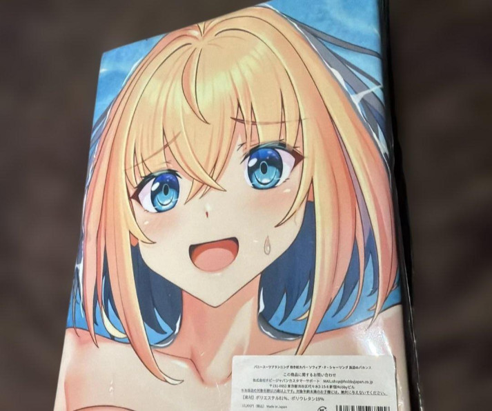 Bunny Suit Planning Sophia F. Shirring Pillow cover 160×50cm Hobby japan anime