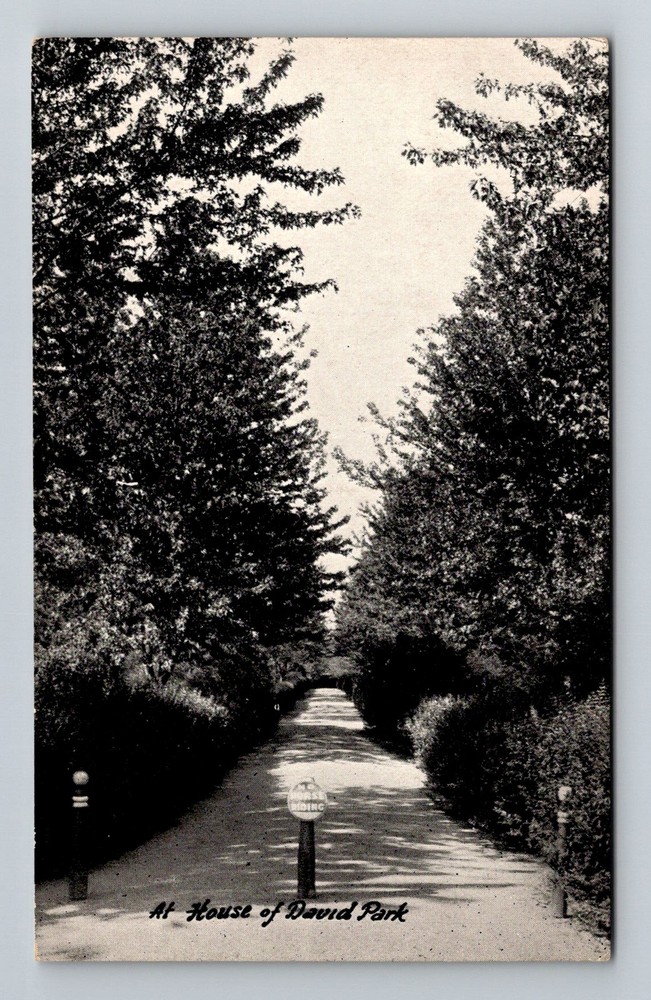Benton Harbor, MI-Michigan, House of David Park Tree Lined Path Vintage Postcard
