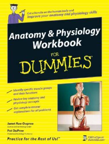 Anatomy and Physiology Workbook For Dummies - Paperback - GOOD