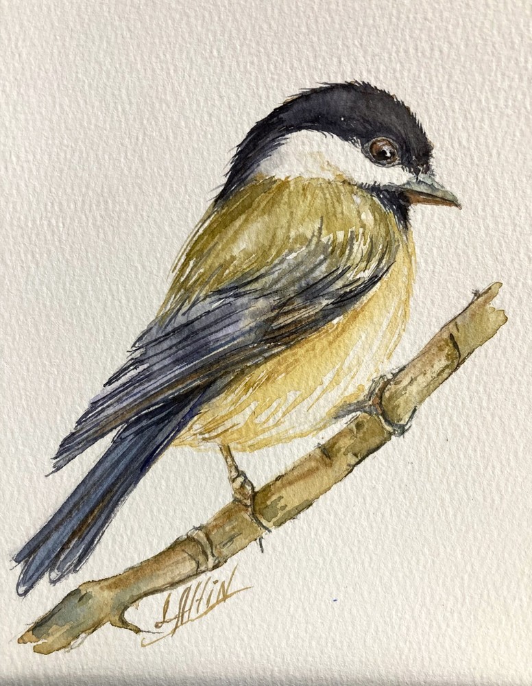 Black-capped Chickadee Original Watercolor Bird Art Painting