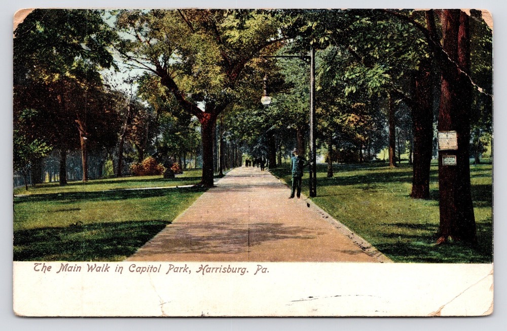 1910-Dauphin County~Capitol Park~Street Lamp~Harrisburg Pennsylvania PA~Postcard