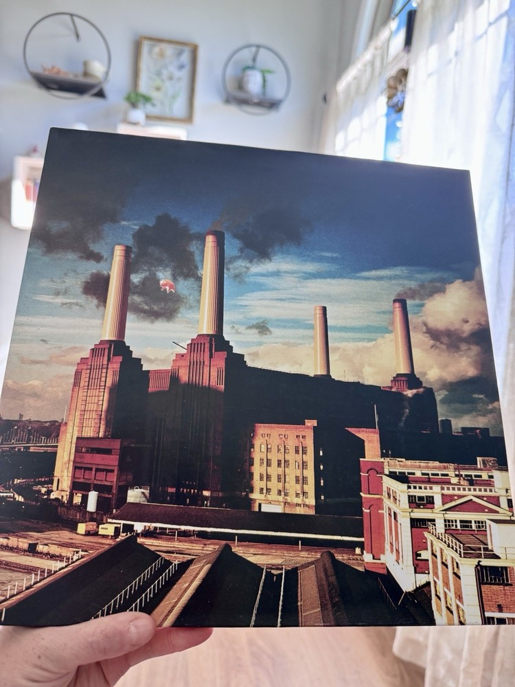 Pink Floyd - Animals 12