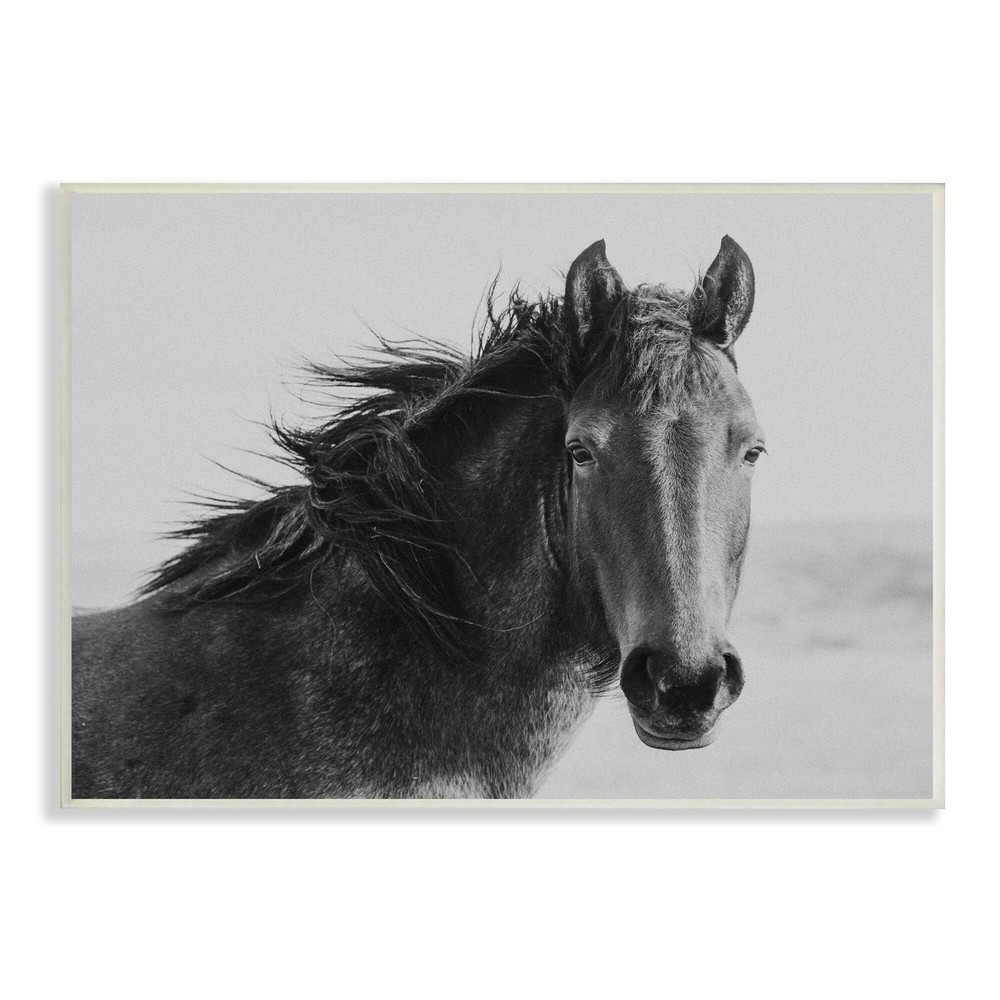 Stupell Black Stallion Equestrian Portrait Vintage Horse