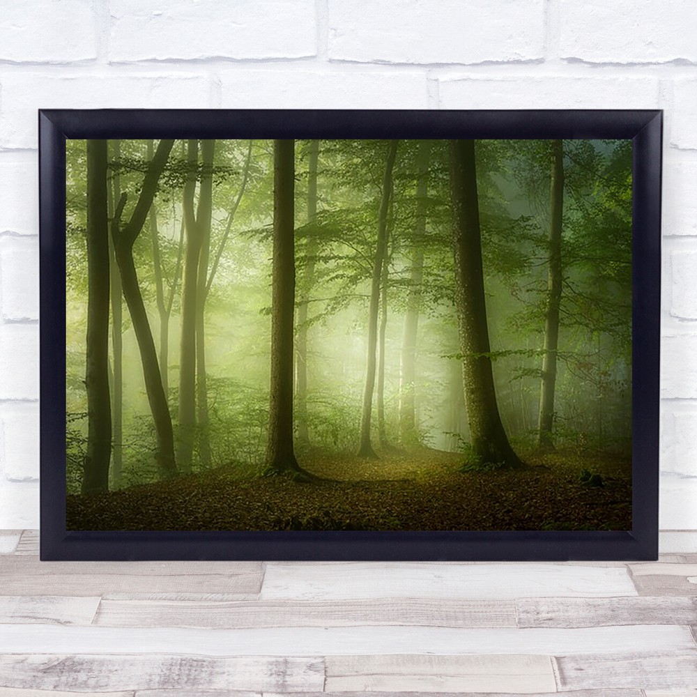 Mysterious Spring Morning Green Forest Trees Tree Trunks Fog Mist Haze Art Print