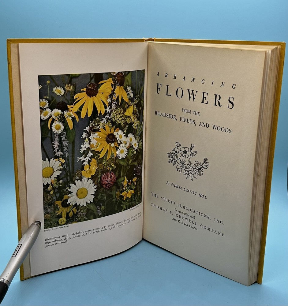 Arranging Flowers From The Roadside, Fields, & Wood By Amelia Leavitt Hill HC