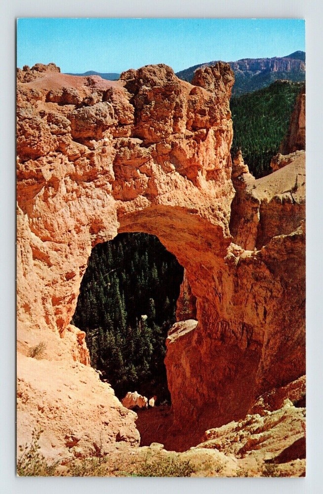 Bryce Canyon National Park Natural Bridge Natural Landmark Chrome Postcard