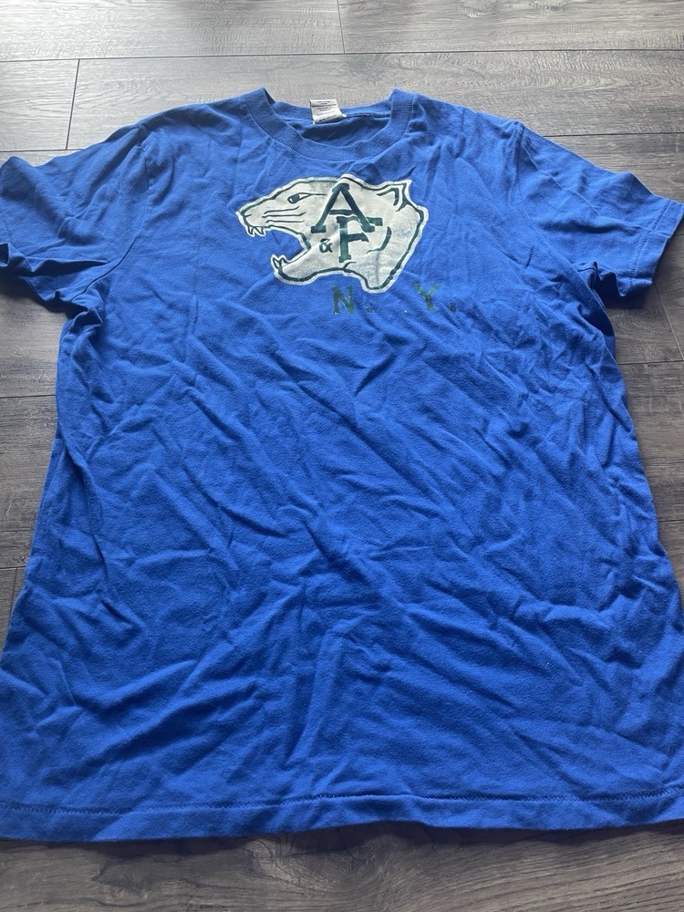 Abercrombie & Fitch XXL Muscle Fit Blue Graphic Print Logo Crew Neck T-Shirt