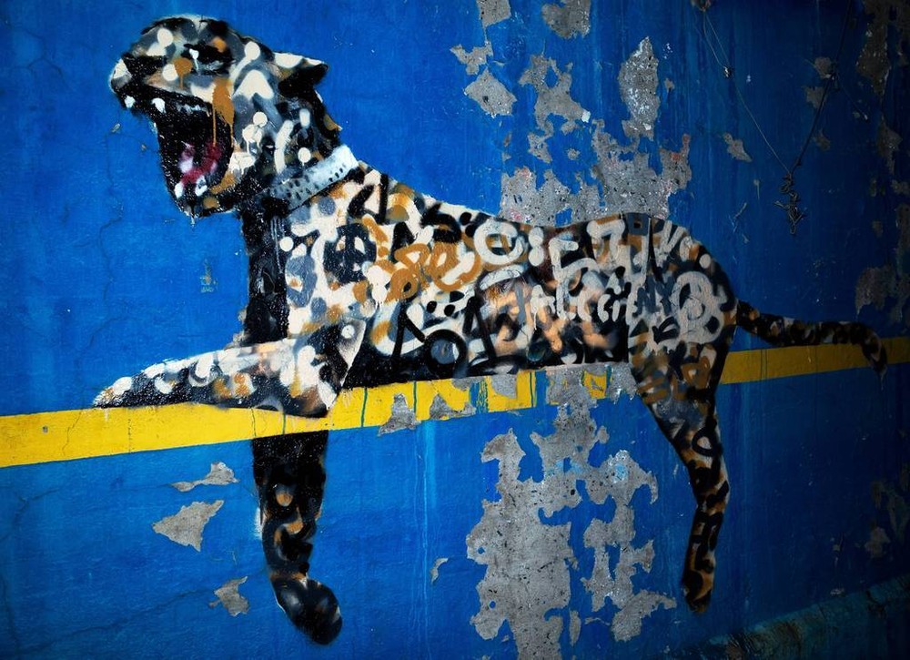 BANKSY STREET ART *FRAMED* CANVAS PRINT Bronx Zoo Leopard 18x12